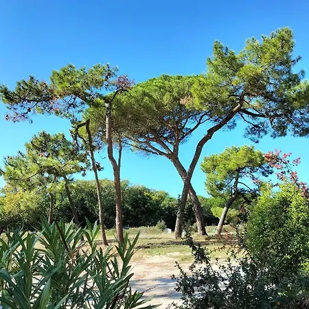 Les Salines Boyardville - Et 公寓