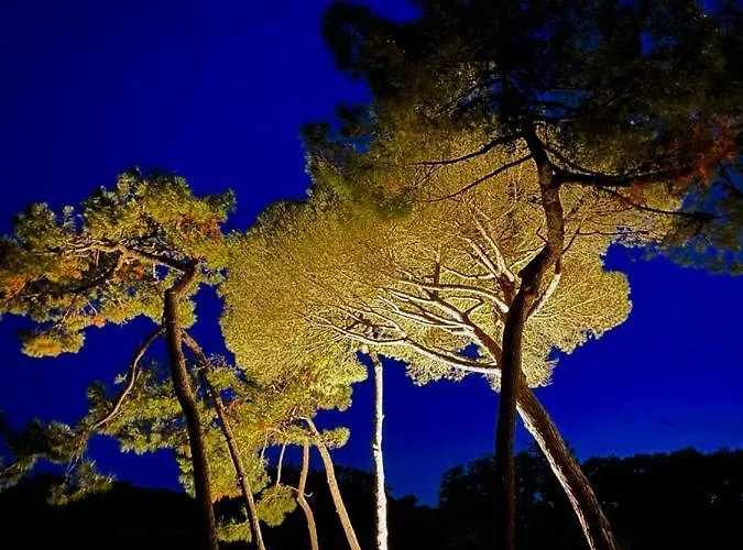 Les Salines Boyardville - Et * Saint-Pierre-d'Oleron