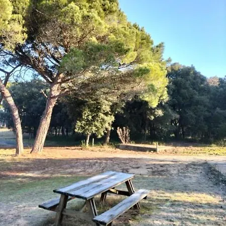Apartment Les Salines Boyardville - *