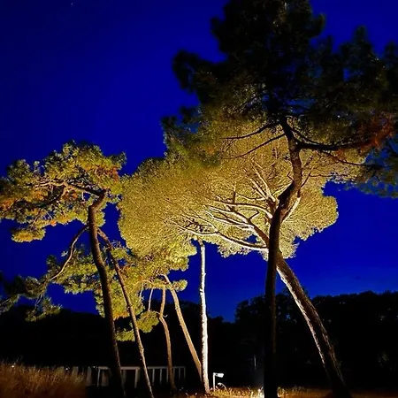 Les Salines Boyardville - * Saint-Pierre-d'Oleron