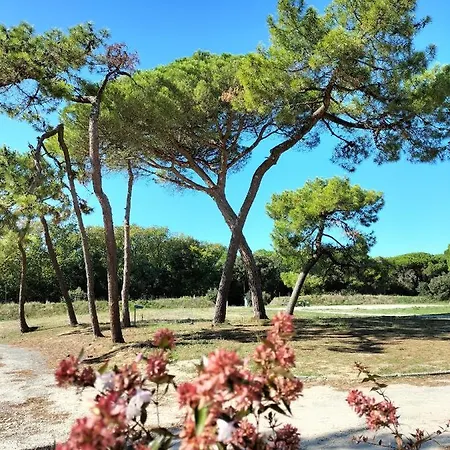 Apartment Les Salines Boyardville - Saint-Pierre-d'Oleron