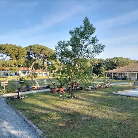 Apartment Les Salines Boyardville - Et