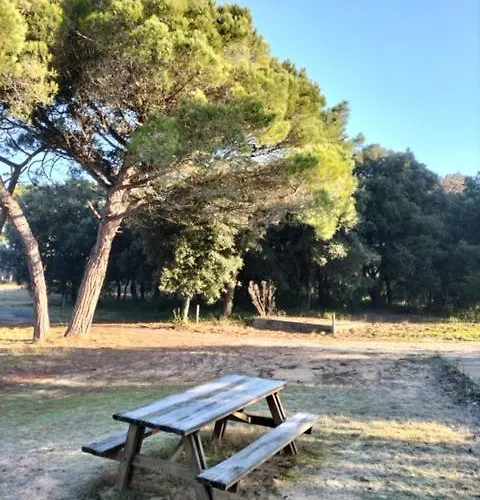 Appartement Les Salines Boyardville - Et *