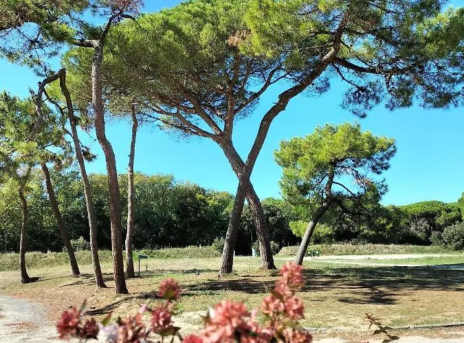 Appartement Les Salines Boyardville - Et Saint-Pierre-d'Oleron