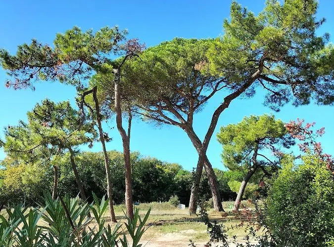 Les Salines Boyardville - Et Appartement